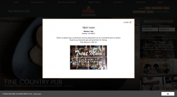 swanarundel.co.uk SHOT 2018-02-26 20:26:27