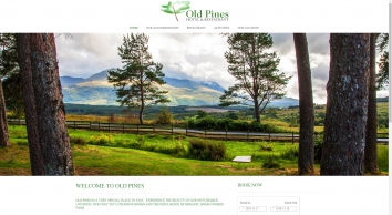 Screenshot of oldpines.co.uk 2018-12-17 06:05:19 oldpines.co.uk screenshot 2018-12-17 06:05:19