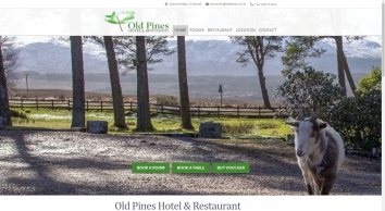 Screenshot of oldpines.co.uk 2020-07-16 04:26:46 oldpines.co.uk screenshot 2020-07-16 04:26:46