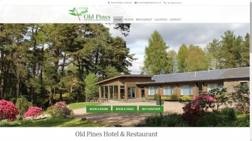 Screenshot of oldpines.co.uk 2025-06-08 19:16:58 oldpines.co.uk screenshot 2025-06-08 19:16:58